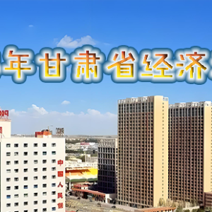 2024年甘肃省经济运行情况