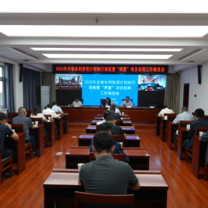 2025年全省水利投资计划执行调度暨“两重”项目 前期工作推进会议在兰召开
